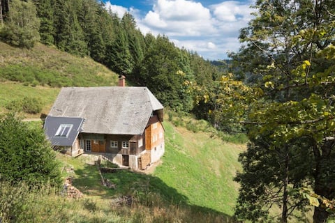 Kaspershäusle apartment: secluded location in the middle of the forest