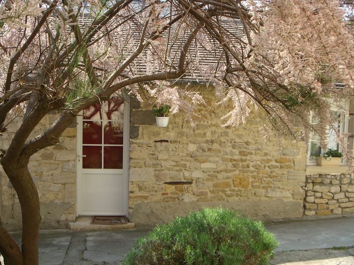 Image 1