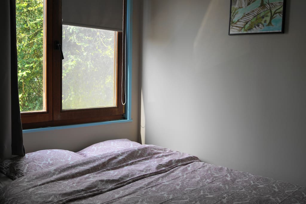 Bed Room 2