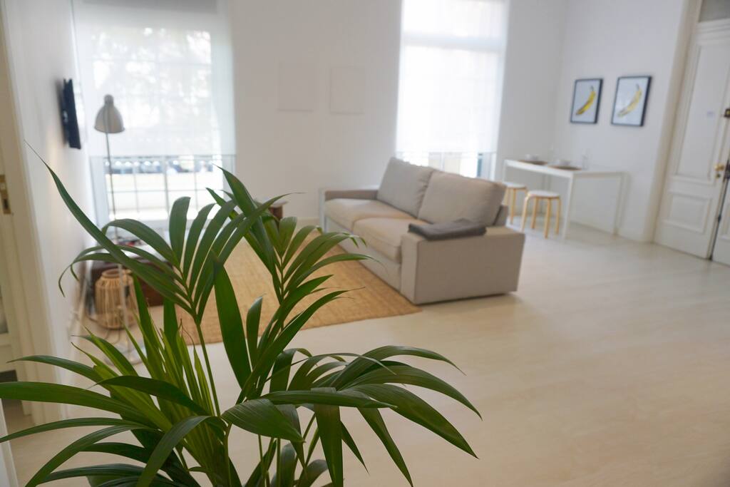 The big living room open kitchen & dinind room,with big windows,plenty of light and XX century soul