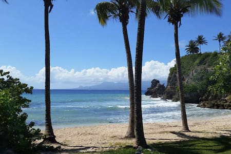 Grand T2 sans vis à vis avec accès direct plage...