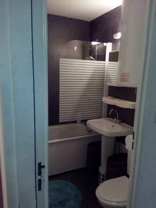 sdb avec baignoire et douche et pare douche