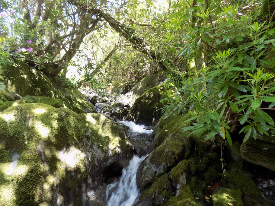 Coolcreen cascading river and waterfall, audible from the house
