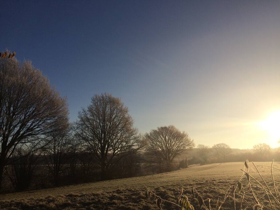 Der Blick über das Feld an einem Wintermorgen.