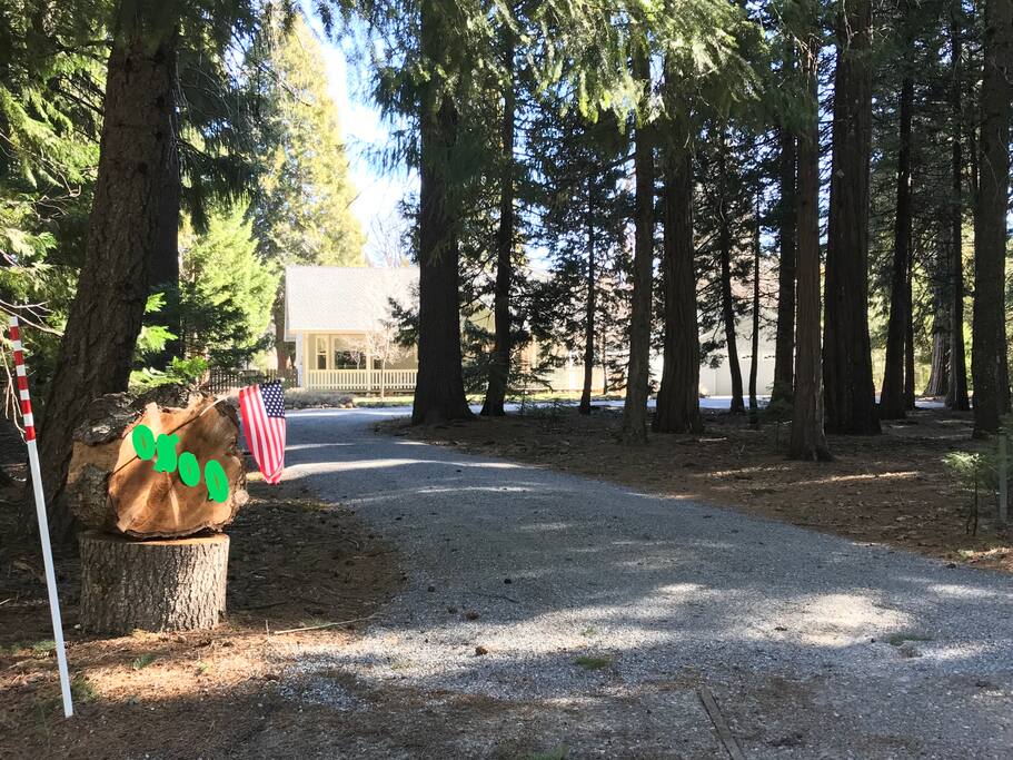 Our lovely driveway