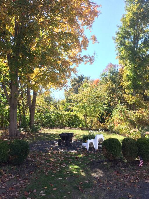 Garden outside private suite