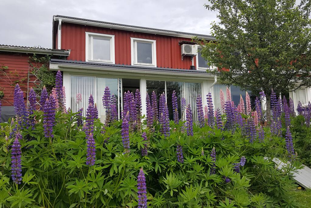 View of the house from the garden