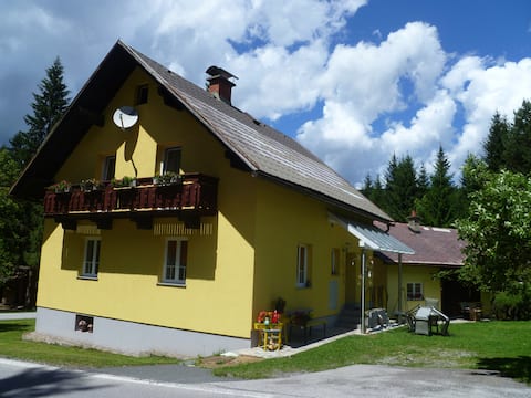 Cozy vacation home at the edge of the forest