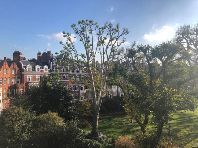 Prime location luxury home