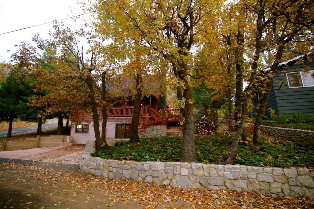 Street view of Palisades Lodge