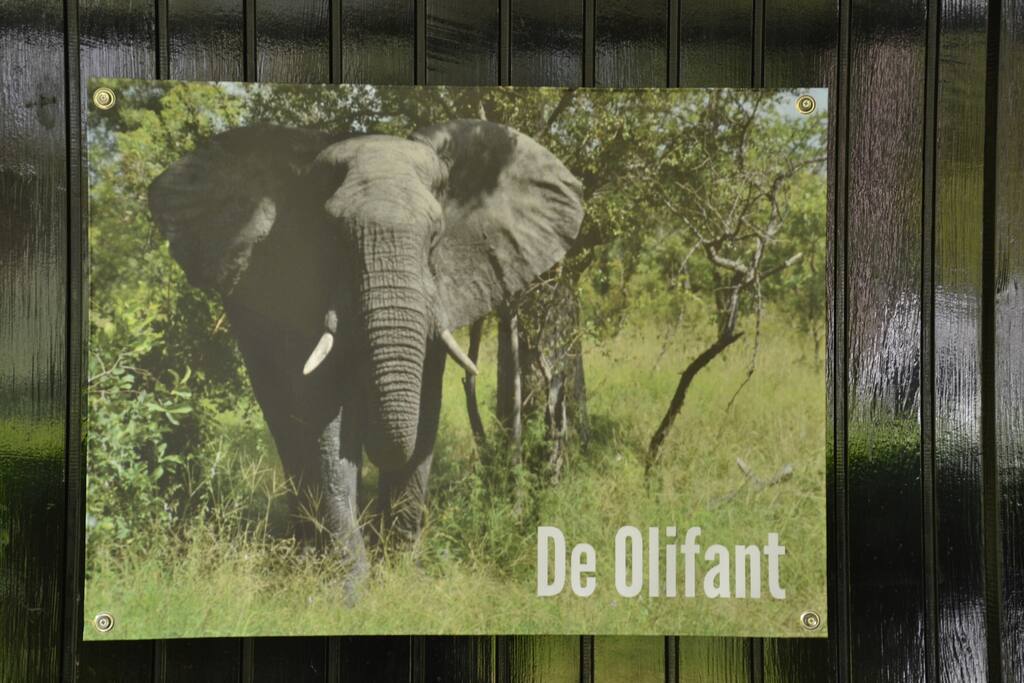 De Olifant