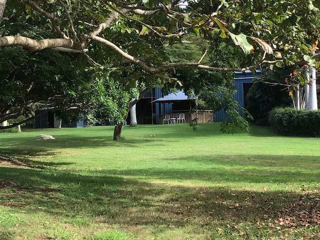 Spacious, Relaxed & Private – Byron Bay Hinterland