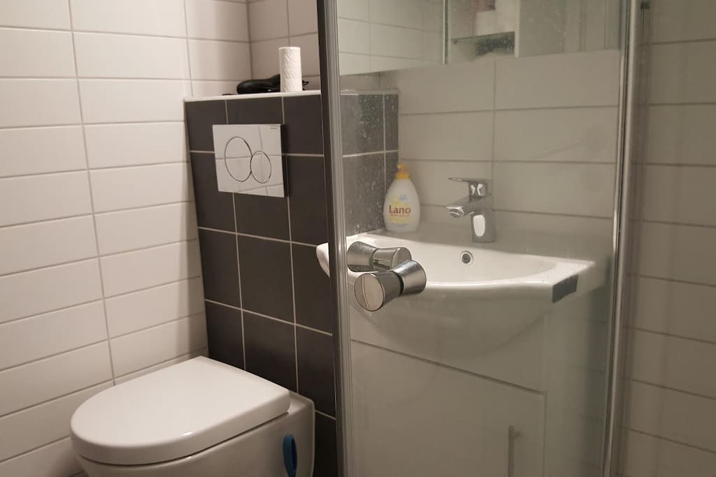 Newly renovated bathroom.