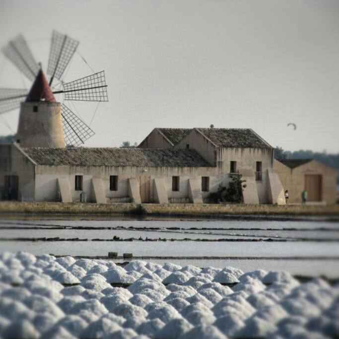 Le saline