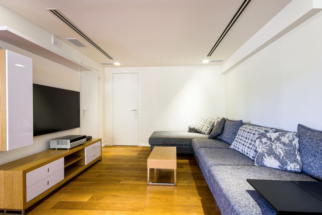 TV room with 55 inch TV and comfortable sofa