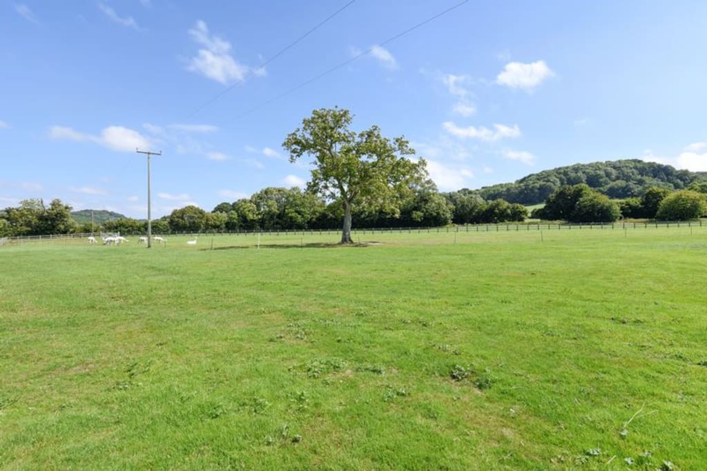 Uninterrupted views of the British countryside!