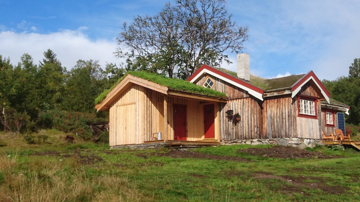 A rustic cabin is set in a natural landscape, featuring wooden exterior walls and a grass-covered roof. The entrance showcases a red door and a welcoming porch. Surrounding greenery enhances the cabin's secluded atmosphere, with trees and shrubs providing a tranquil backdrop.