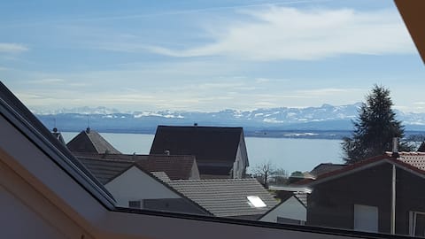Top performing Airbnb: Apartment with lake view in Meersburg