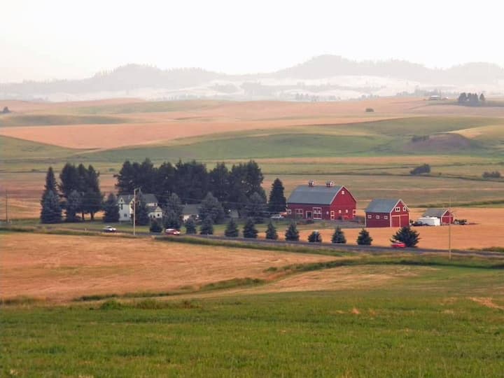 Palouse Locações por temporada e Washington, Estados