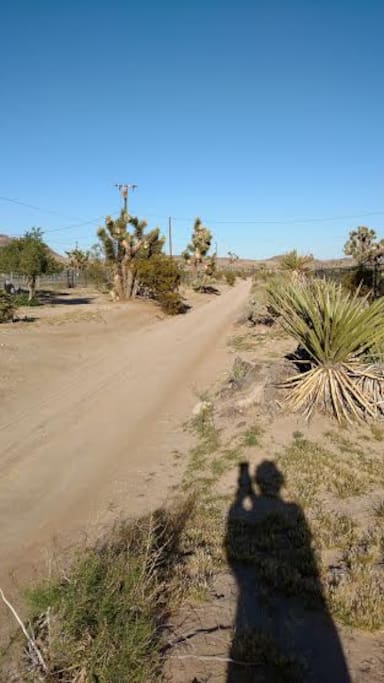 rural road to Joshua House