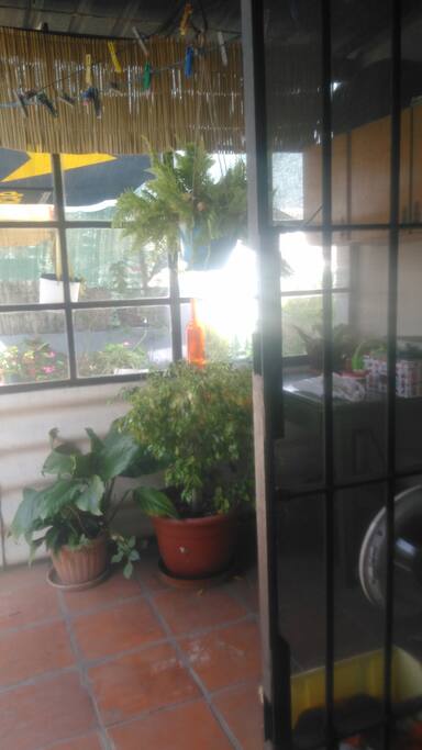 Terraza con jardín
