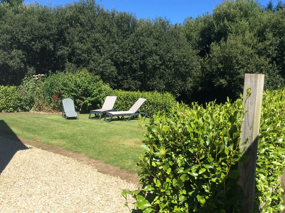 Outdoor space in top garden
