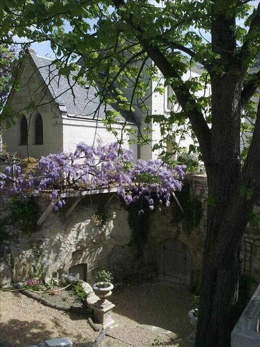 View from the Window