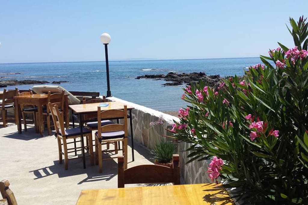 sea view from the yard