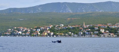 Apartman Marin