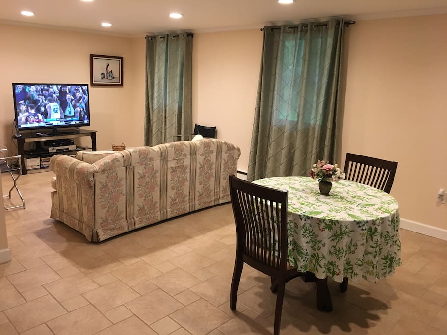 Lower level living/dining area