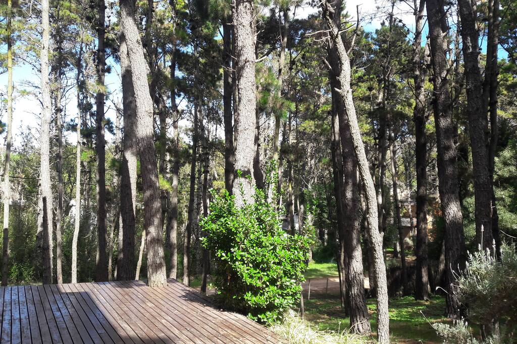 Parque