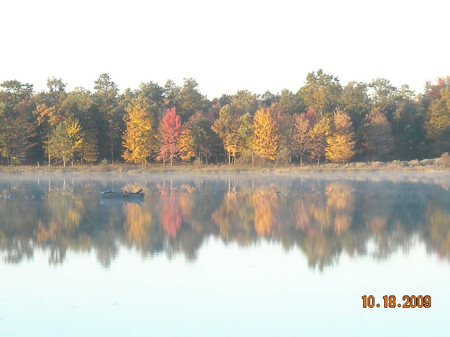 Enjoy the amazing fall colors!