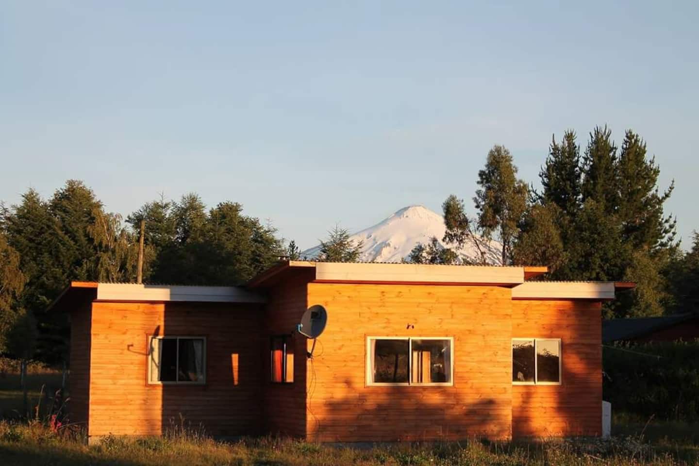 Vista exterior de una de las cabañas rodeada de naturaleza.