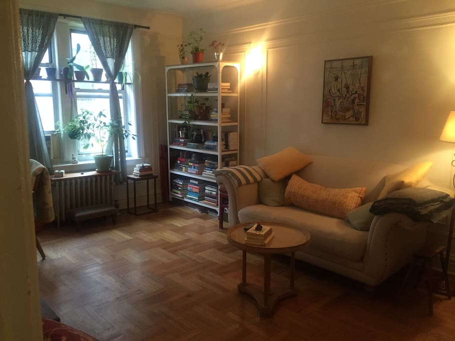 Light-filled livingroom with lots of open space, plants, and books