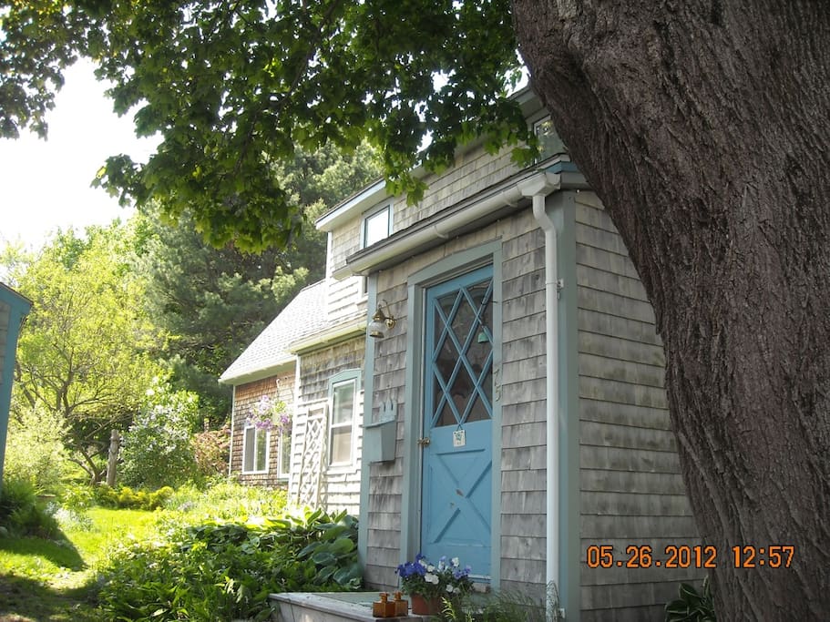 Front door