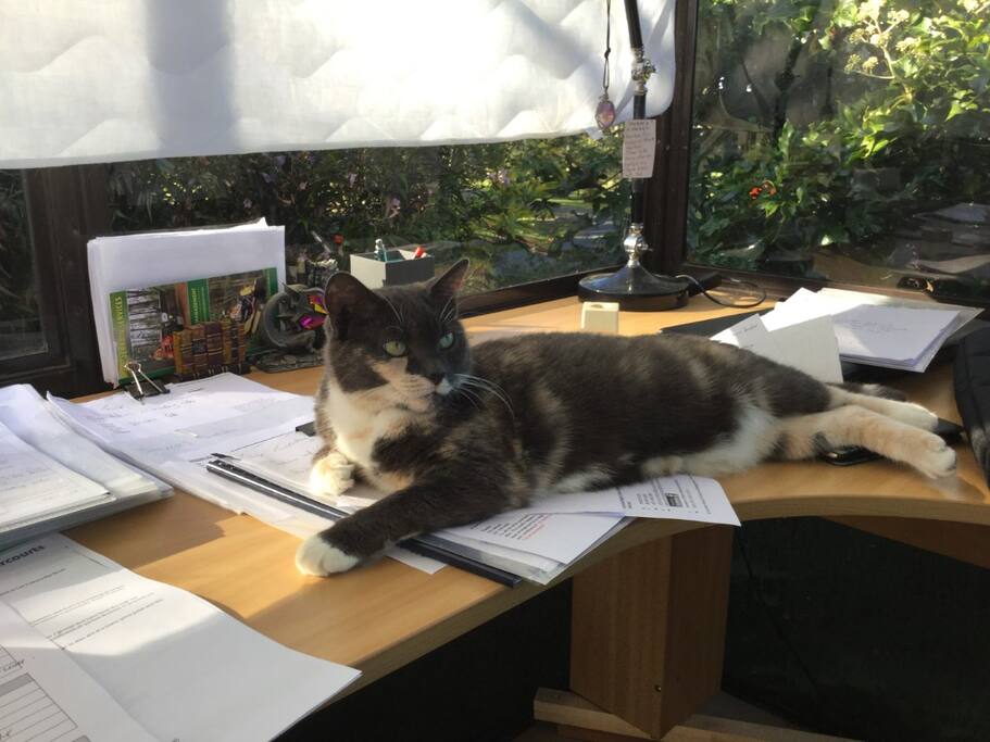Meet & Greet...'Puss' who think she is the 'Boss'