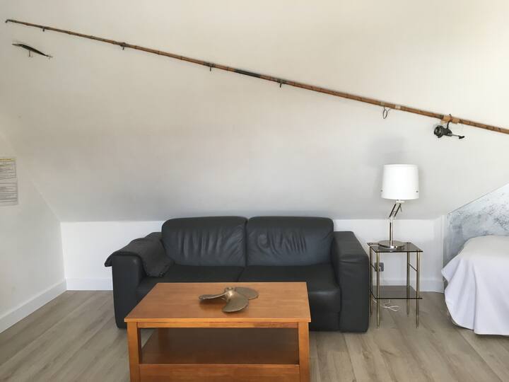 Grand Large, Appartement En Bord De Mer - Le Conquet