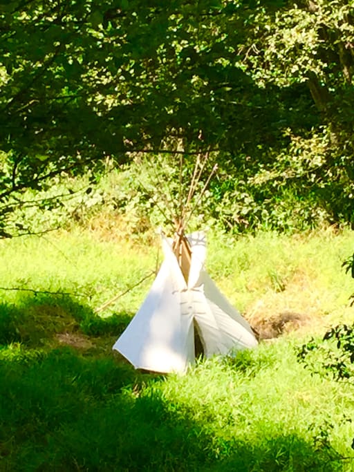 Tipi in the pasture.