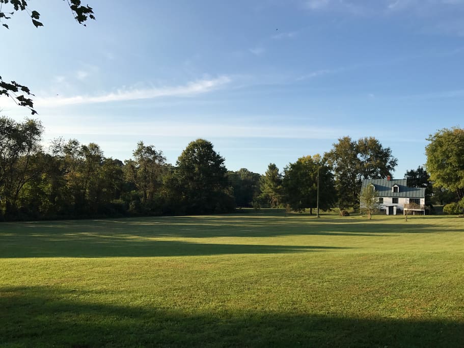 View from the back lawn.