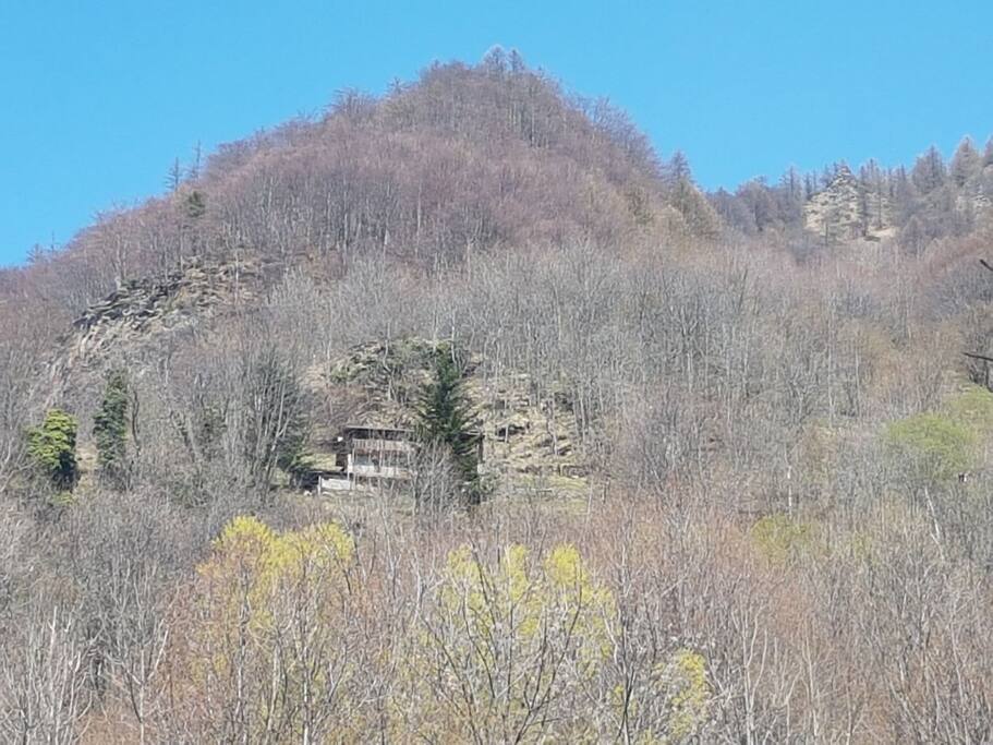 without leaves from parking