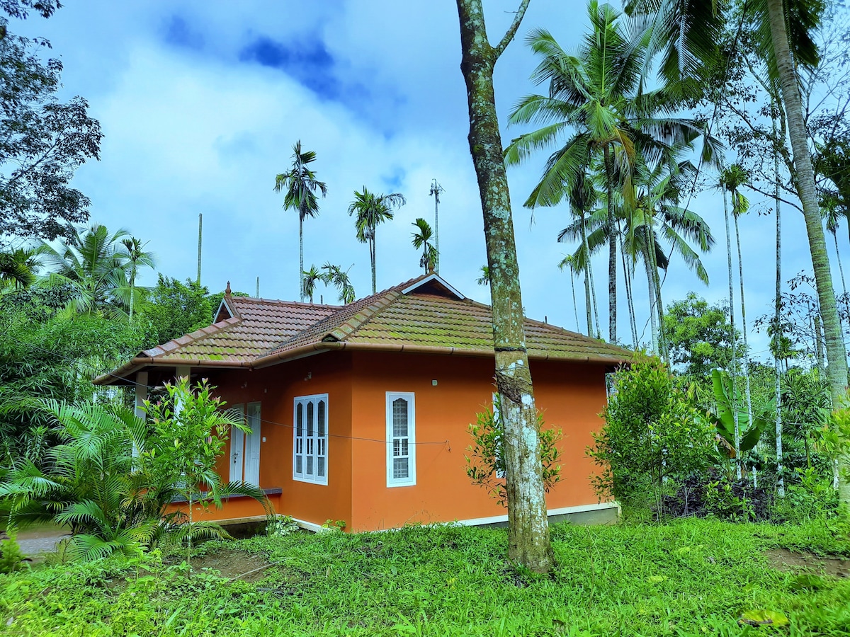 A charming cottage is surrounded by lush greenery and tall palm trees. The exterior features warm orange walls with a sloping roof, and multiple windows that provide natural light. The inviting front porch offers a place to relax and enjoy the peaceful landscape.