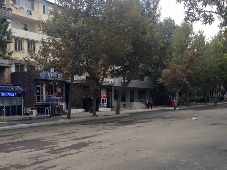 VIEW FROM STREET