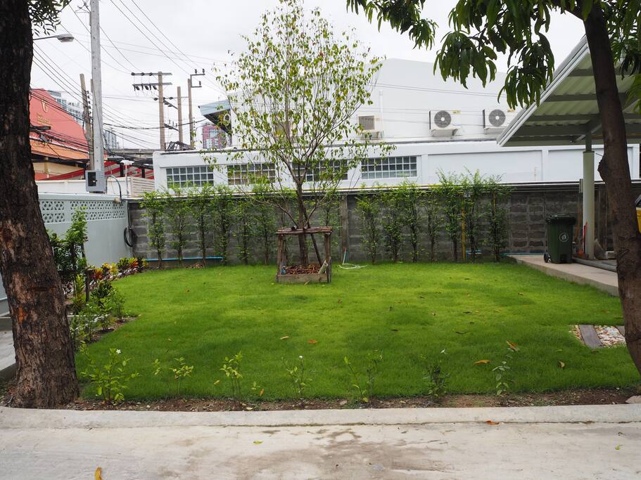 Front yard
