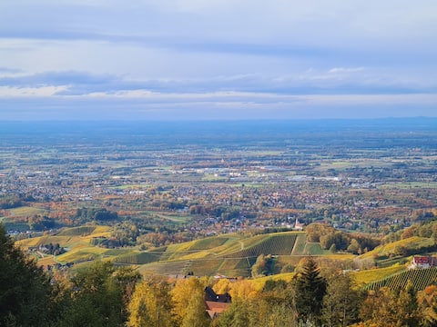 Top Airbnb: Cozy cuddly nest in Sasbachwalden in Sasbachwalden
