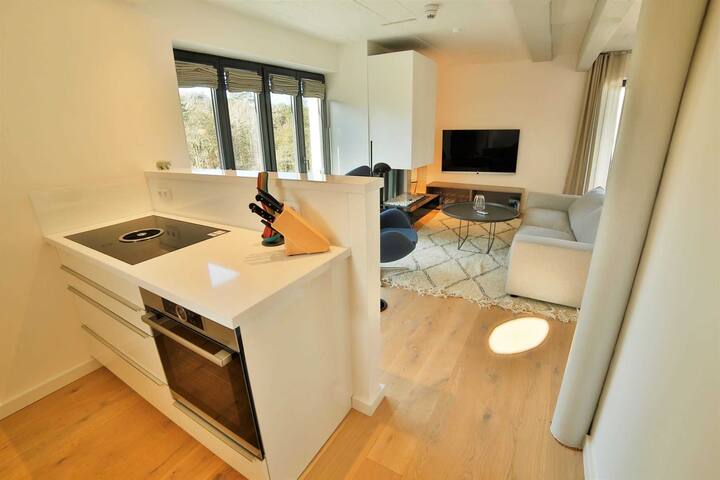 Prora Dune 7 Lotsenloft 16 Apartments For Rent In Binz Ostseebad Ot Prora Germany