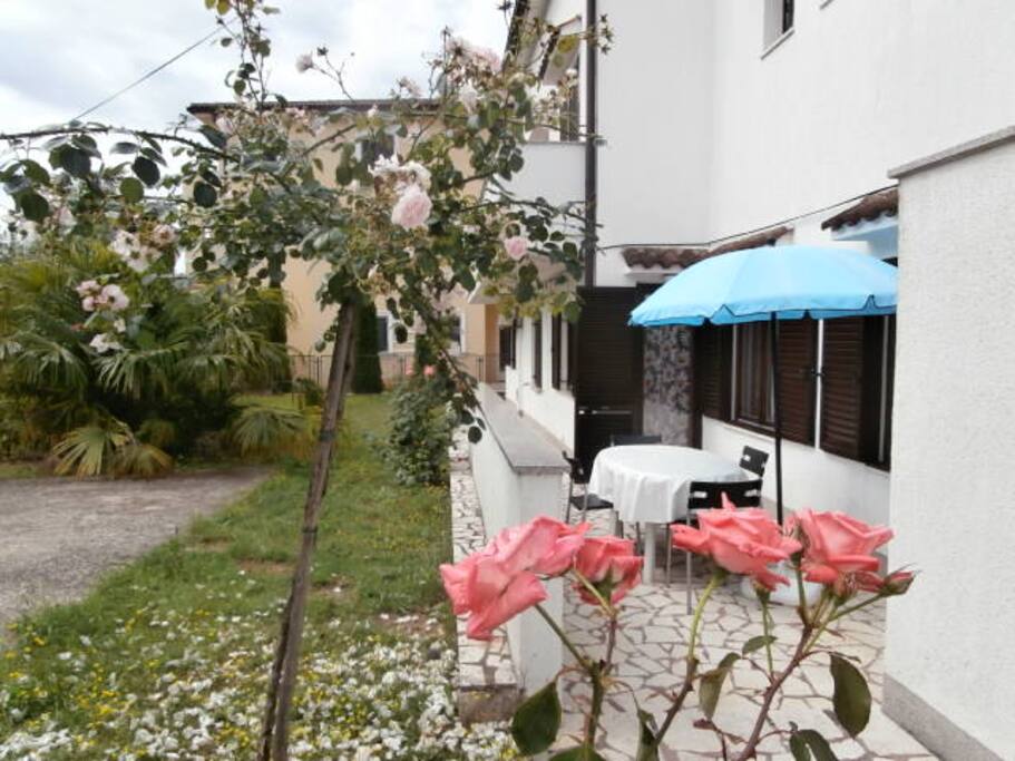 Backdoor terrace with parking lot