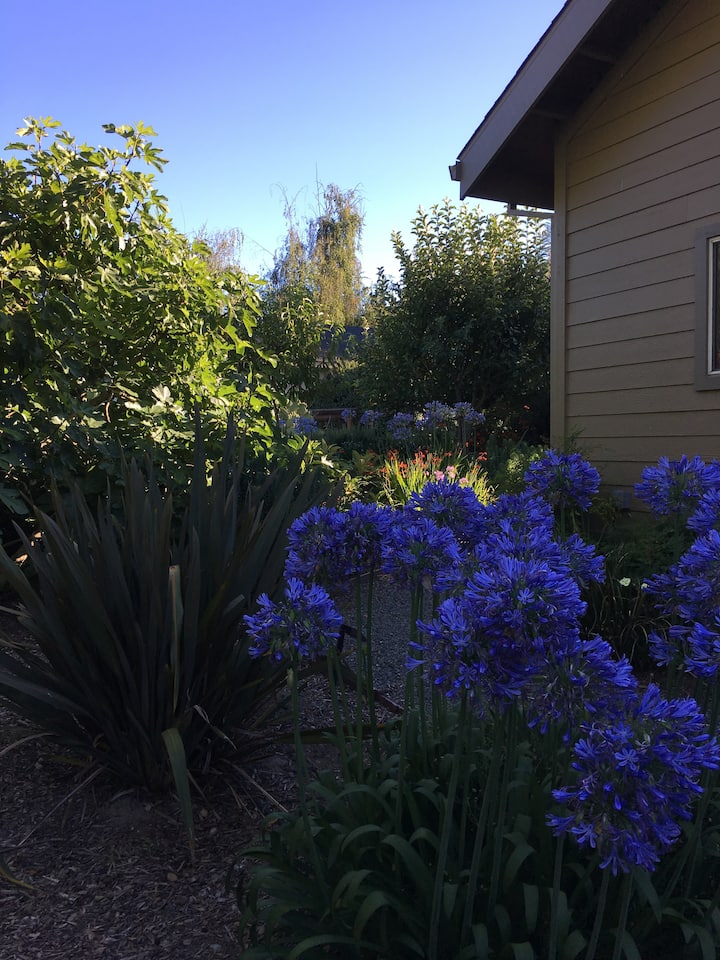 Top 10 Airbnb Vacation Rentals In Sebastopol, California Updated 2024 Trip101