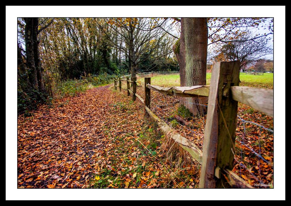 Countryside location. Miles of footpaths & bridleways to explore.