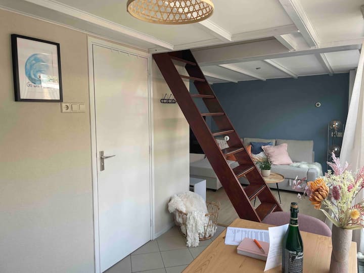 Cozy Eco Beach-house Only 300 M From The Sea - Noordwijk aan Zee