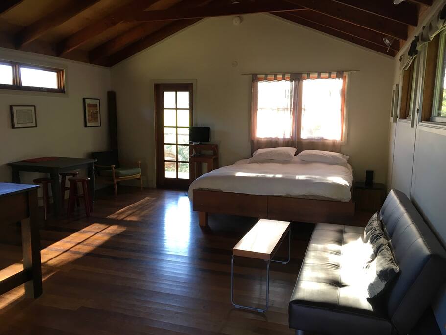 Studio One showing bed and lounge